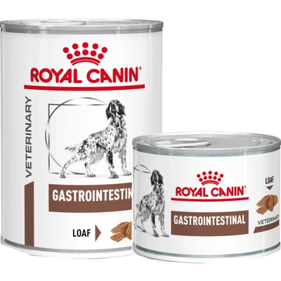 Royal Canin Gastrointestinal Hond Blik - 2 x 12 x 400 g