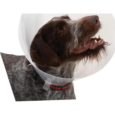 Buster Transparent Classic Collar - Maat 1