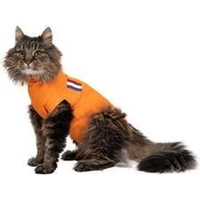 Medical Pet Shirt Kat Oranje XXXS product name