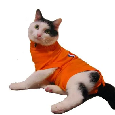 Medical Pet Shirt Kat Oranje XXXS