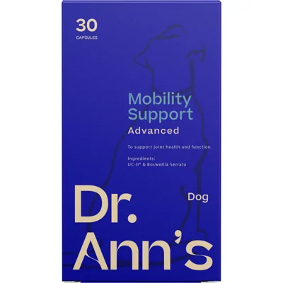 Dr. Ann's Mobility Support Advanced - 2 x 30 capsules