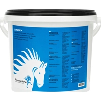 PharmaHorse L-Lysine - 3000 g
