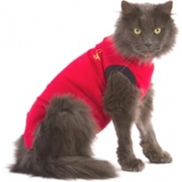 Medical Pet Shirt Kat Rood XS product name