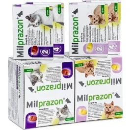 Milprazon Ontwormingsmiddel kat (2-8 kg) 48 tabletten
