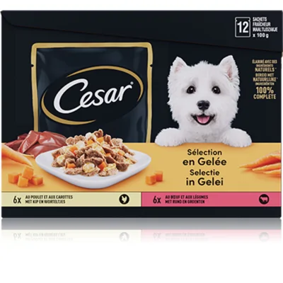 Cesar Maaltijdzakjes 12-pack in Gelei 12 x 100 gr