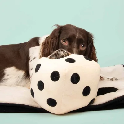 Coockoo Roll the Dice Hondenspeelgoed