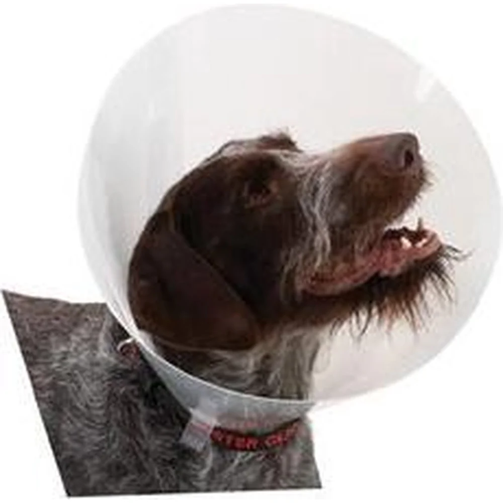 Buster Transparent Classic Collar - Maat 6