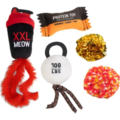 Beeztees Workout Kattenspeelgoed