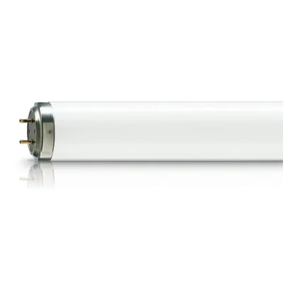 Reservelamp Pestwest Quantum Shatterproof 15 Watt Tegen Vliegen - Shatterproof - Kan niet spatten - Voor diverse vliegenlampen