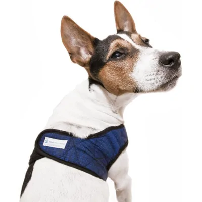Aqua Coolkeeper Comfy Harness - XS - Pacific Blue