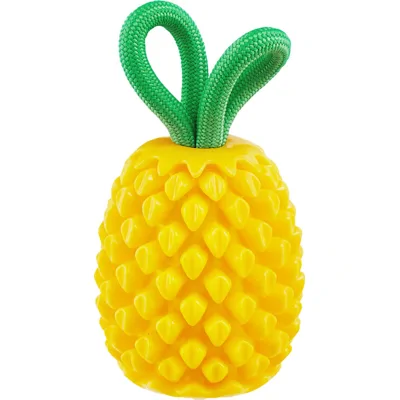 Outward Hound Dental Pineapple