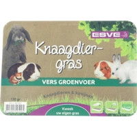 Esve Knaagdier- en Konijnengras