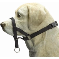 Beeztees Dog Control M zwart