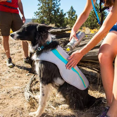 Ruffwear Honden-verkoelingsvest Swamp Cooler™, biolumin blue, Maat: XL