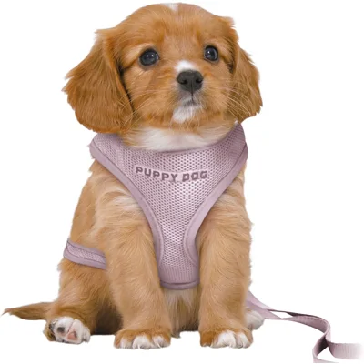 Trixie Junior Puppy-Softtuig met Riem - M-L - Lila