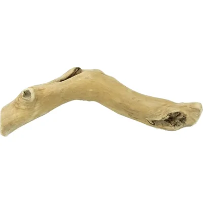 Back Zoo Nature Wolf Wood - S