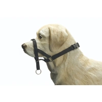Beeztees Dog Control M-Special zwart product name