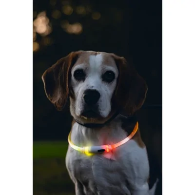 Beeztees Safety Gear Dogini Hondenhalsband Multicolor 65 cm