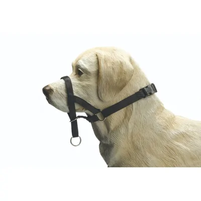 Beeztees Dog Control S zwart