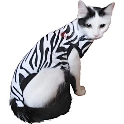Medical Pet Shirt Kat Zebraprint XS