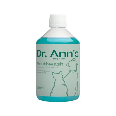 Dr. Ann's Mondwater - 3 x 250 ml
