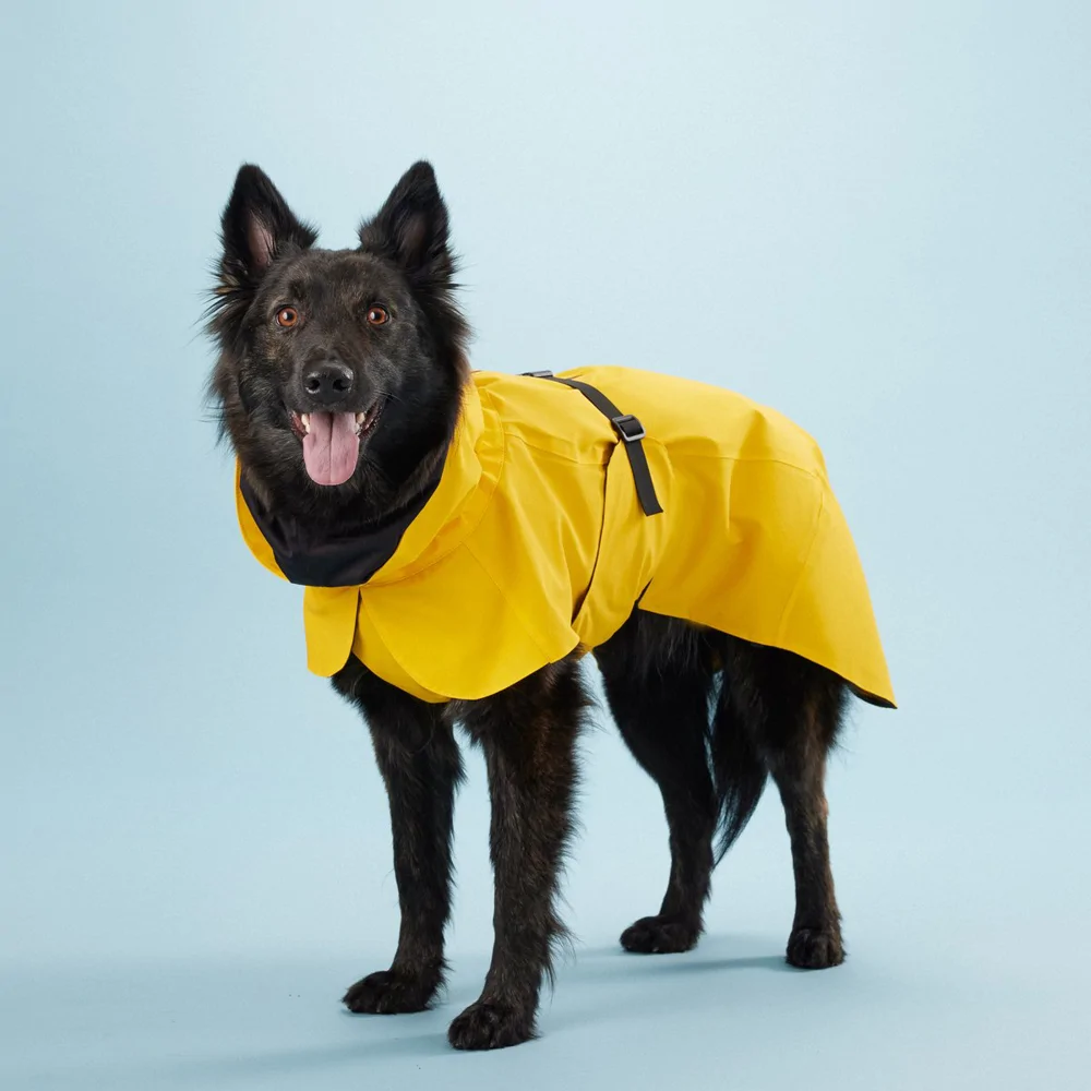 PAIKKA Visibility Regenjas Lite yellow - Maat 30