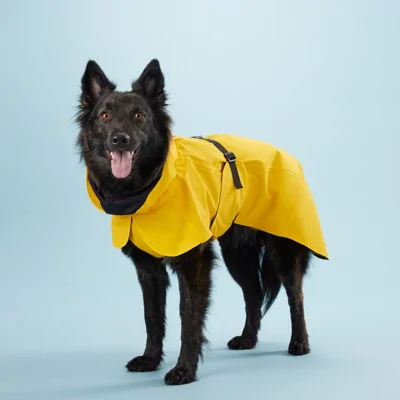 PAIKKA Visibility Regenjas Lite yellow - Maat 30