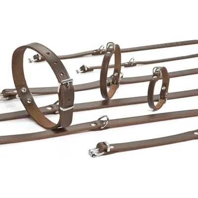 Beeztees Halsband Hond Leer - Bruin - 47 cm x 18 mm