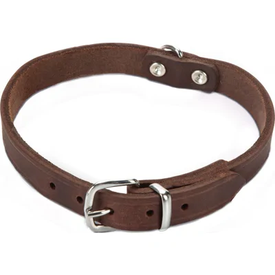 Beeztees Halsband Hond Leer - Bruin - 62 cm x 25 mm