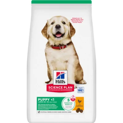 Hill's Puppy Large Breed met kip hondenvoer 2 x 2,5 kg