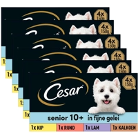 6x Cesar Senior 10+ in Gelei 600 gr