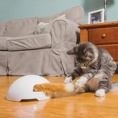 Petsafe Frolicat Vossenstaart