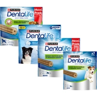 DentaLife - Grote Hond - 3 x 12 sticks