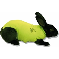 Medical Pet Shirt Konijngroen M product name
