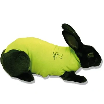 Medical Pet Shirt Konijngroen M