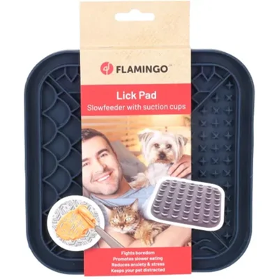 Flamingo Likmat Tolo