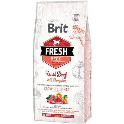 Brit Fresh Beef with Pumpkin Puppy Large - 12 kg