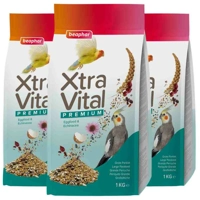 product name