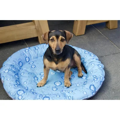 Nobby Nobby Koeldonut"Bubble"