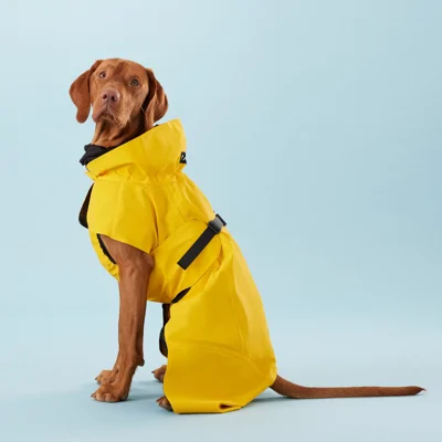 PAIKKA Visibility Regenjas Lite yellow - Maat 45