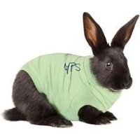 Medical Pet Shirt Konijngroen XS product name