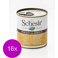 16x Schesir Hondenvoer Kip Pompoen in Gelei 285 gr