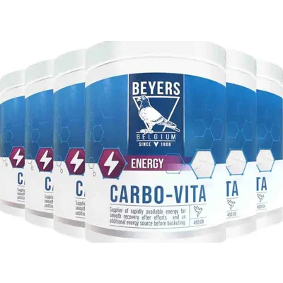 6x Beyers Carbo-Vita Grit 450 gr