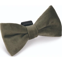 Designed By Lotte hondenstrik Zaza velvet groen 9 x 5 x 1cm