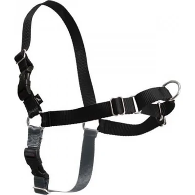Easy Walk Tuig voor de hond Medium