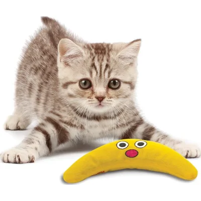 Petstages Catnip Boomerang Buddy Per stuk