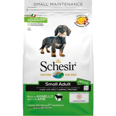 Schesir Hond Dry Maintenance Small Lam 2 kg