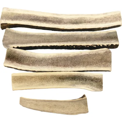 Brekz Snacks - Split Antler voor de hond L