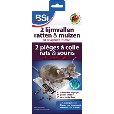 2 Lijmvallen Tegen Muizen En Ratten - Werkt zonder lokmiddel - Krachtige lijm - Tegen muizen en ratten