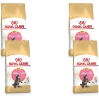 4x Royal Canin Maine Coon Kitten Kattenvoer 4 kg